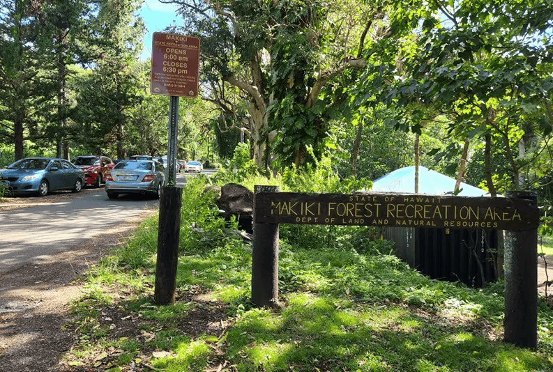 Tantalizing Tantalus in Honolulu, HI scenery