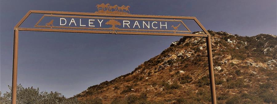 The Ranch 50K, Half Marathon in Escondido, CA scenery