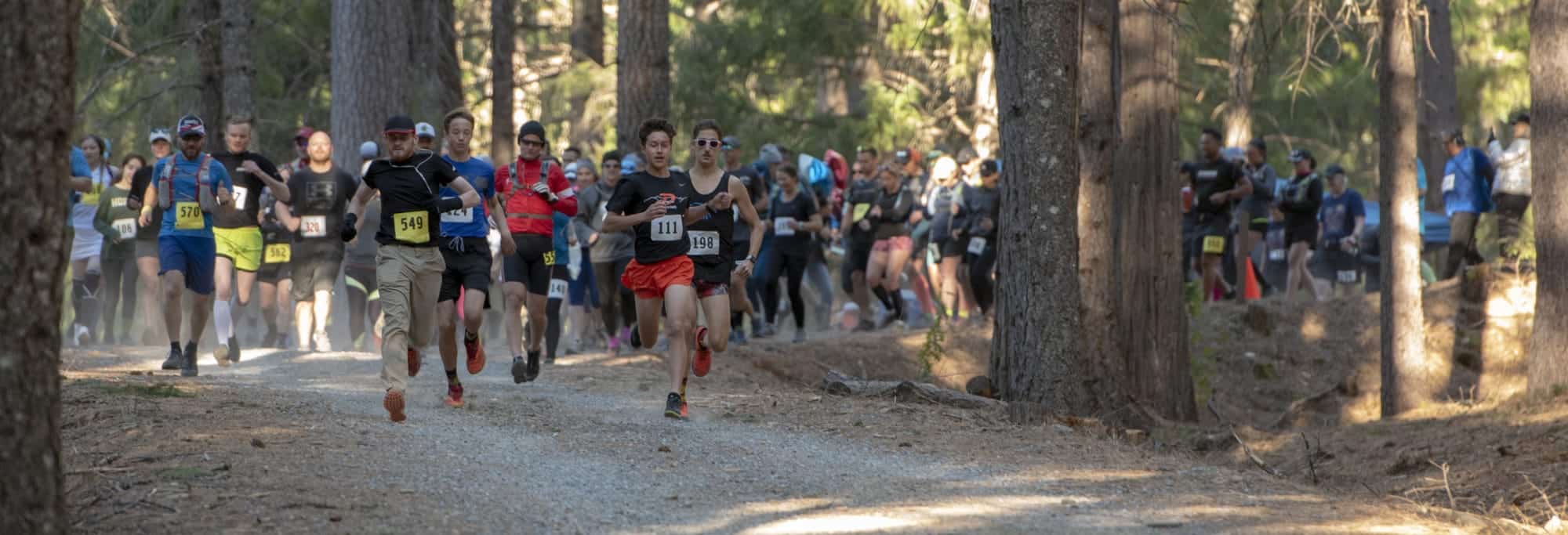 Trail Run at Sly Park (Summer) in Pollock Pines, CA, Forested, Mountain Views, Lakefront, Wildlife