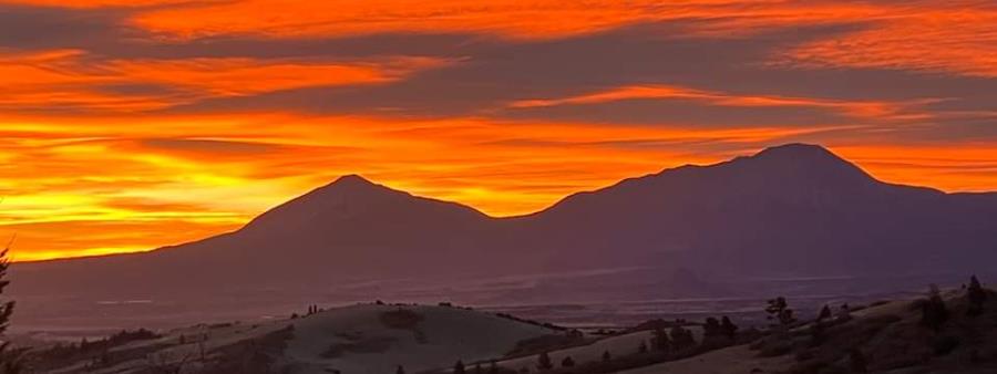 WILD Wahatoya Runs in La Veta, CO scenery