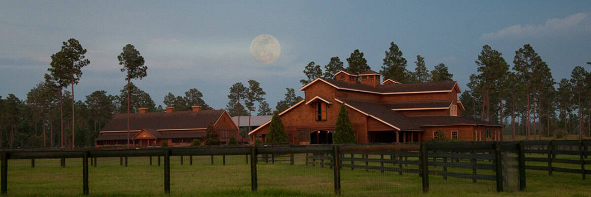 Aiken Trailblazer Halloween Half Marathon in Aiken, SC scenery