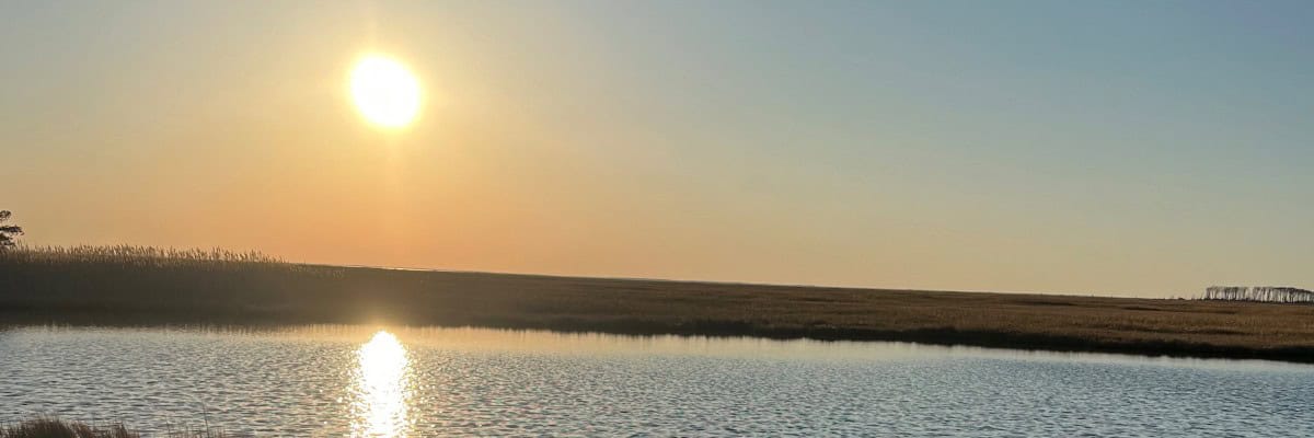 Harvest to Horizon Running Festival in Cedarville, NJ scenery
