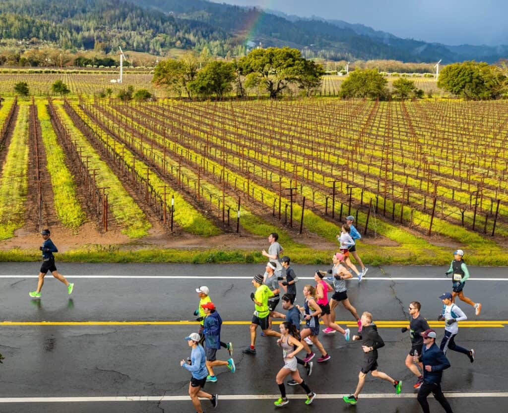 runners going by vineyards in the Napa Valley Half Marathon
