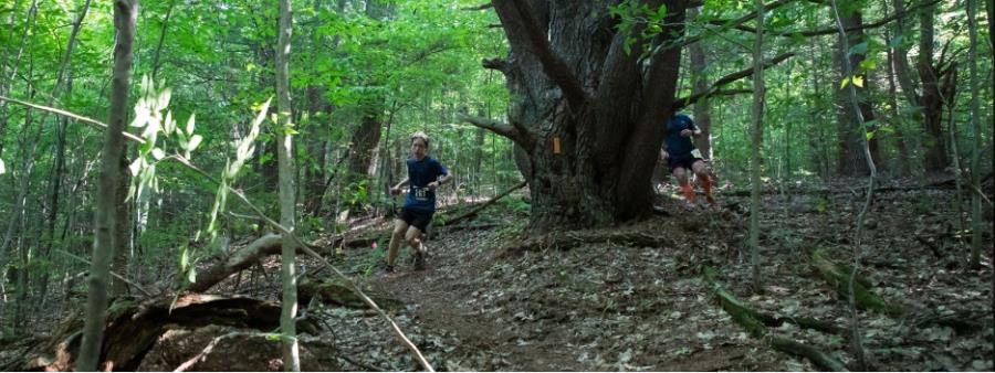 Two Hollows Monster Marathon and Half Marathon in Harford, New York experience and scenery