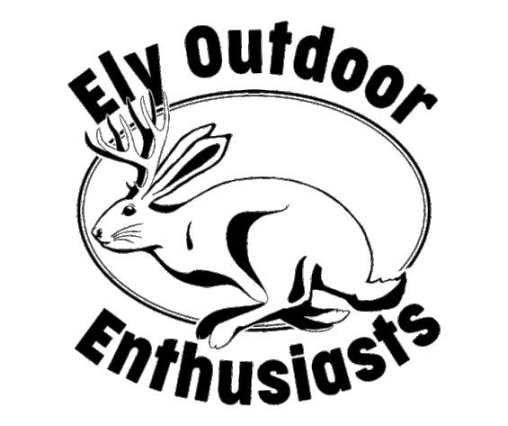 Ward Mountain Trail Run Logo