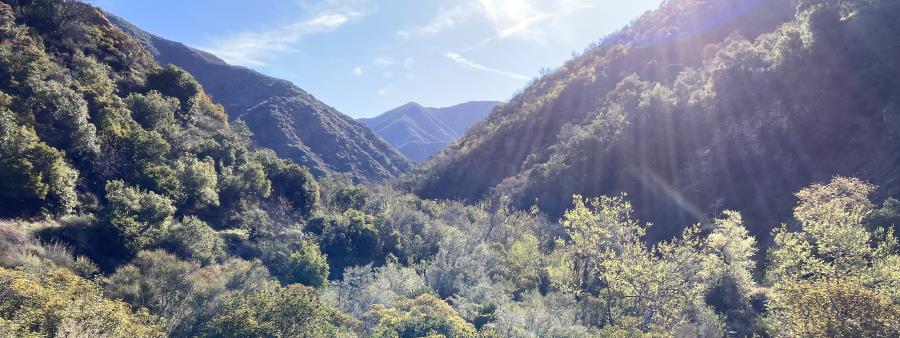 Billy Goat Mountain Climb in Silverado, CA scenery