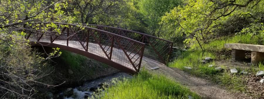 Corner Canyon Half Marathon scenery