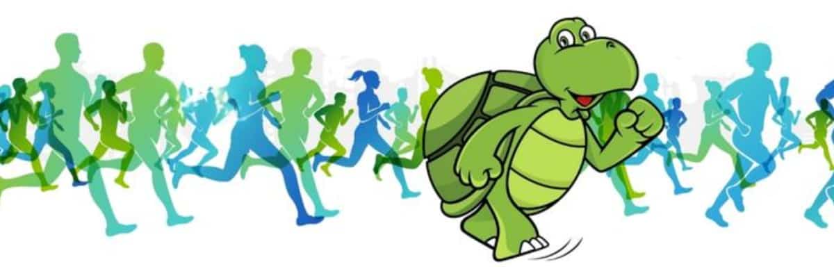Green Turtle Cay Half Marathon banner