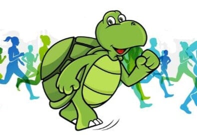 Green Turtle Cay Half Marathon logo