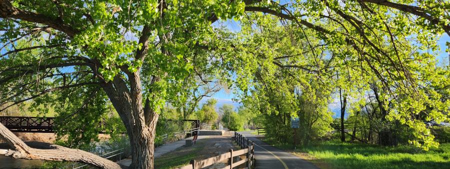 Happy Trails Marathon in South Jordan, UT scenery