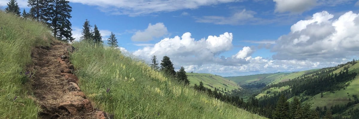 Jasper Mountain Trail Fest in Dayton, WA scenery