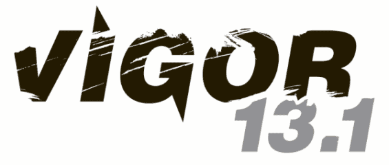 Run Vigor Half Marathon logo