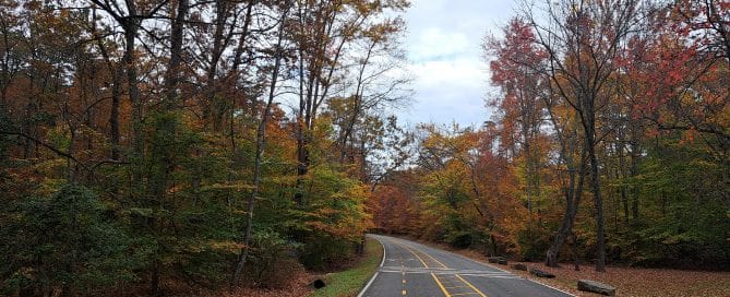 Run for the Wounded Race featured