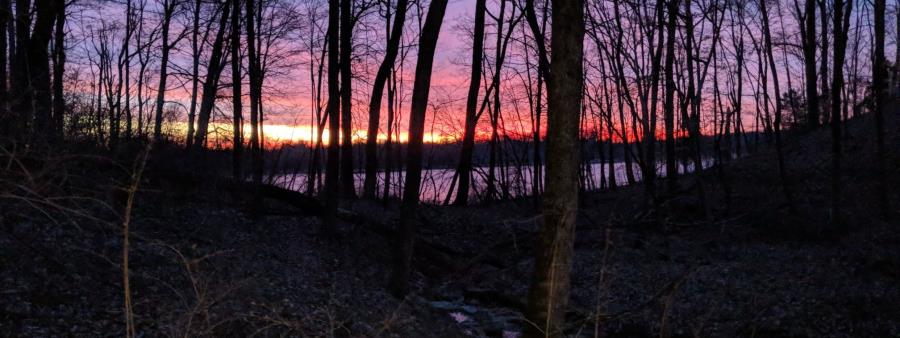 Night Owl Trail Marathon in Waynesville, OH scenery