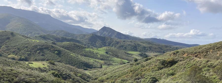 Saddleback Marathon in Silverado, CA scenery