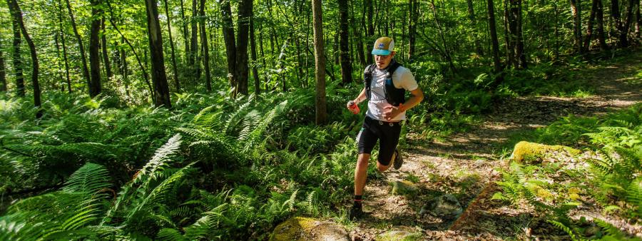 Laurel Highland Ultra - Fall Classic in Somerset, PA experience and scenery